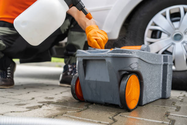 Best Root Management and Removal  in South Taft, CA